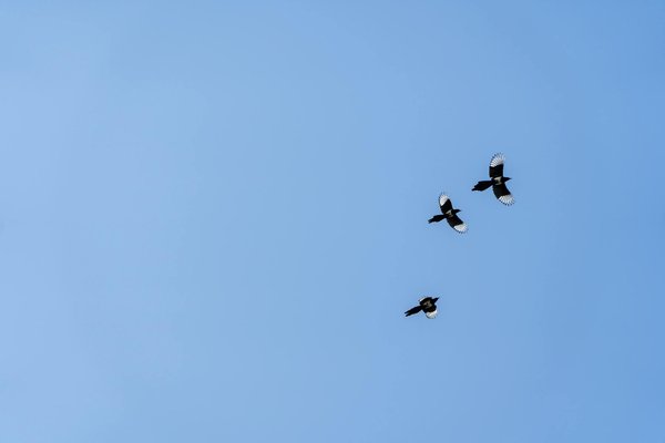 Découvrez votre boutique de compléments alimentaires