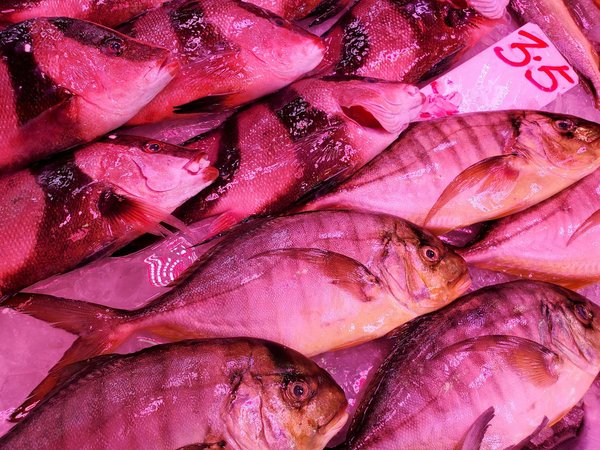 Médecin de garde : dénichez un professionnel près de vous en ligne