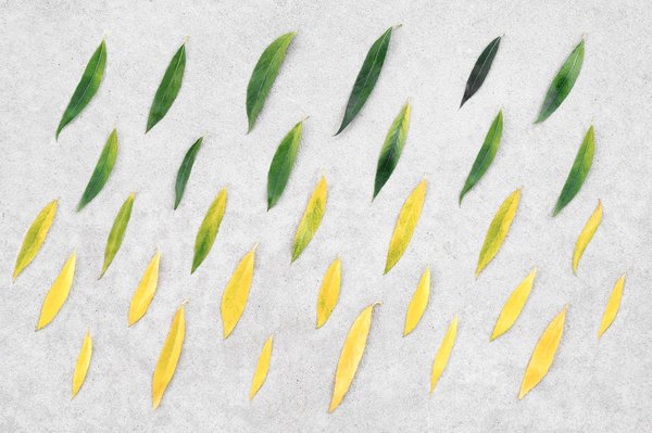 comment se préparer émotionnellement à l'arrivée d'un bébé pendant la grossesse