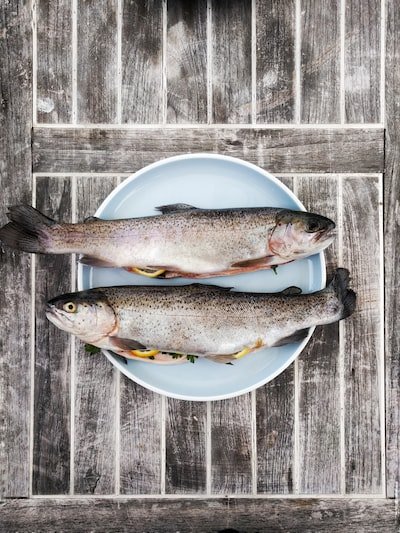 L'essentiel à savoir sur les poissons gras et les poissons maigres